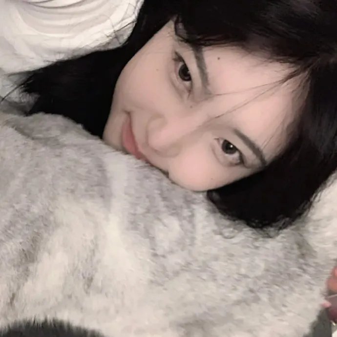 我的明星村长 封面